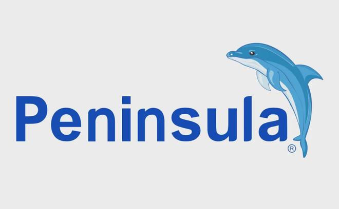 半岛医疗 国产首个「双波长」皮秒激光治疗仪正式获批(图3)