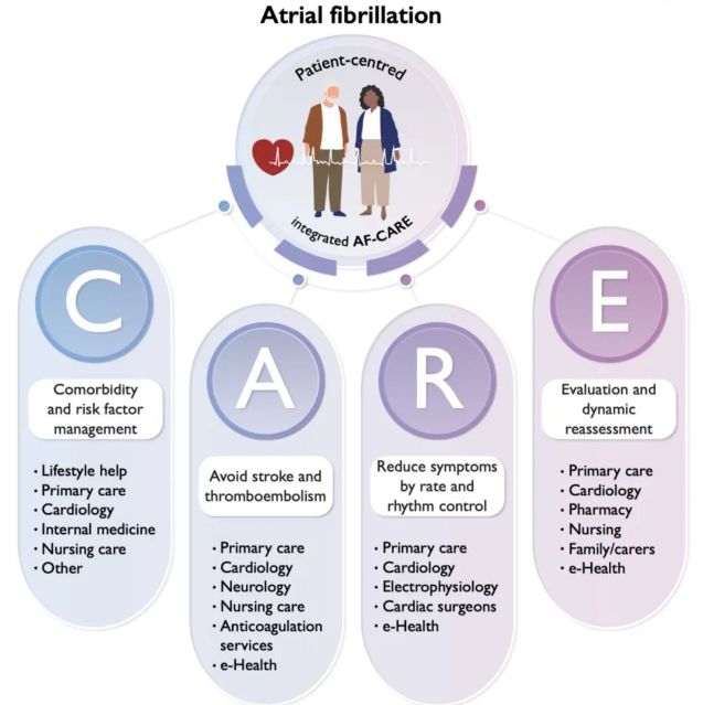 从ABC到CARE黄从新教授详解中欧房颤管理指南最新进展(图1)