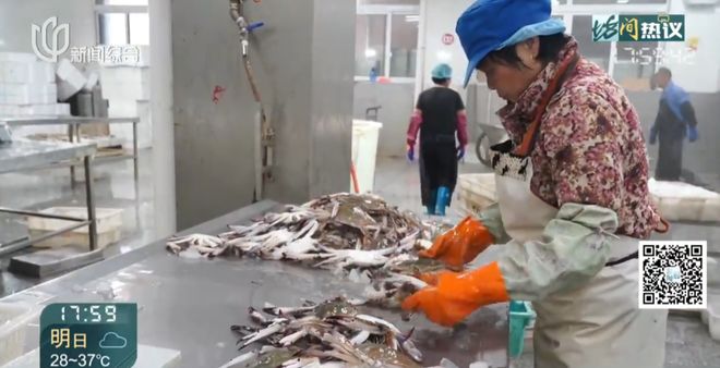 上海正大量上市梭子蟹每天供应超100万斤！很多人买到死货能吃吗？(图6)