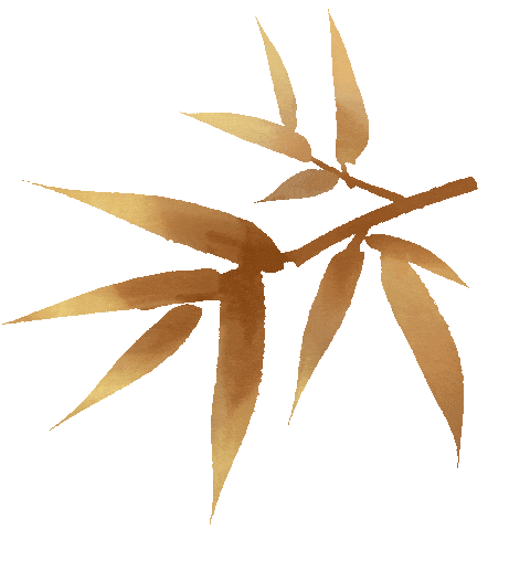 肩膀疼痛难忍？家门口的康复中心来了！(图1)