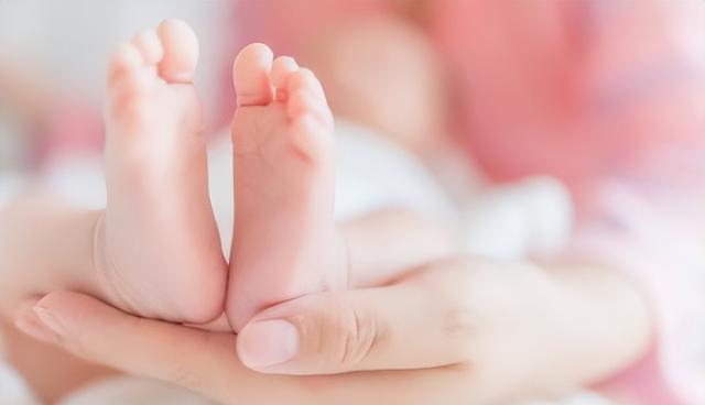 没人生娃了？上海一产科医生称从一晚上8个剖腹产到现在1个没有(图6)