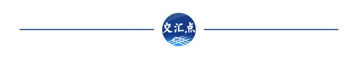 经济大省挑大梁·高手在“民”间｜“三头六臂”诠释何以“新沪商”