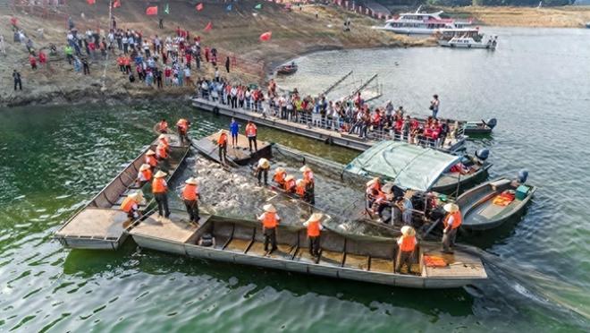 大连一夜扣押259艘渔船！北斗被拆、暗舱藏人安全黑洞有多大？(图1)