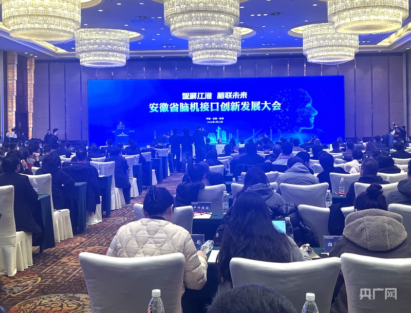 脑机接口“接入”安徽