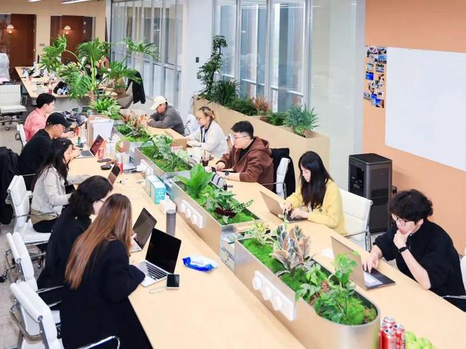 全链条服务护航新质生产力落地